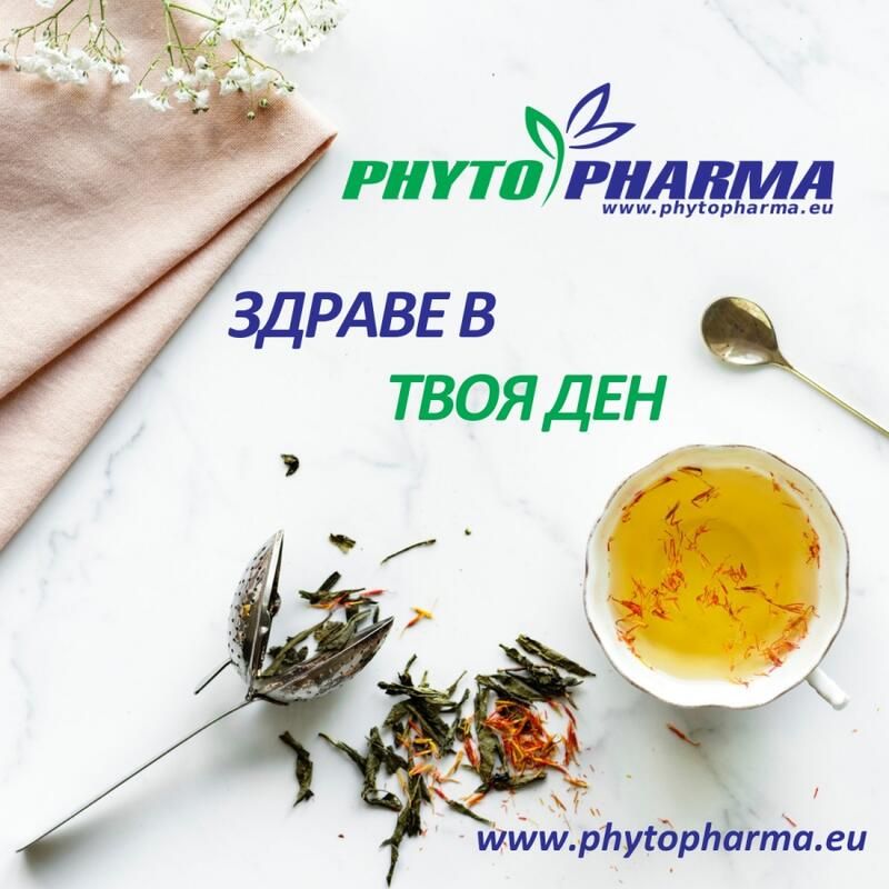 Plana Business Cloud CMS - за голяма картина